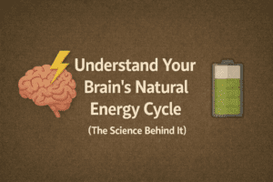 Understand Your Brain’s Natural Energy Cycle